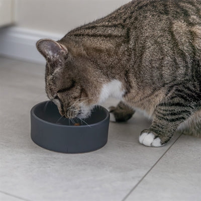 Trixie Food Bowl Kat Ceramic Assorti
