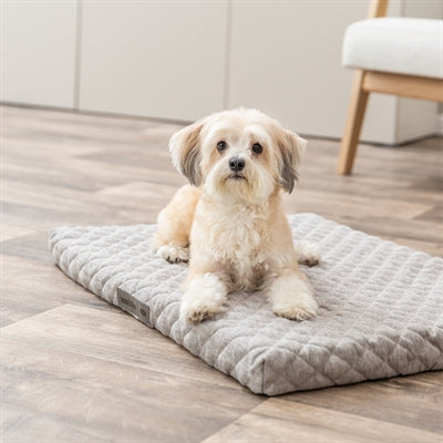 Trixie coussin pour chien Noah Vital gris clair