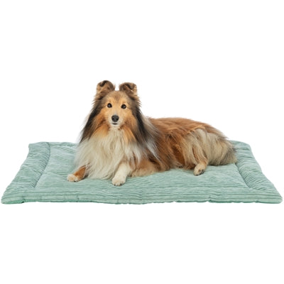 Trixie Ligmat Jonna Rib Velvet Saliegroen
