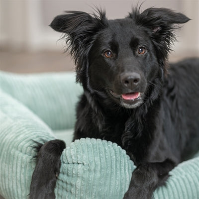 Trixie Dog Basket Jonna Vital Ribstof Saliegroen
