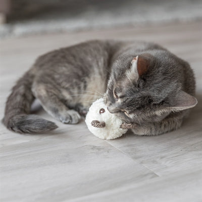 Bière Trixie avec assorti en peluche catnip