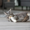 Face somnolent Trixie avec Catnip Pluche Assorti