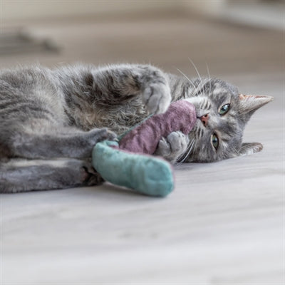 Trixie Play Cushion Roll avec Catnip Assorti
