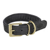 Chien de collier trixie en cuir pur noir