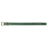 Chien de collier trixie pur cuir saliegroen