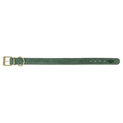 Chien de collier trixie pur cuir saliegroen