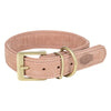 Chien de collier trixie rose en cuir pur