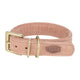 Chien de collier trixie rose en cuir pur