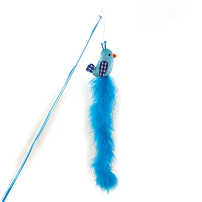 Happy pet tabby patch chat tige oiseau bleu