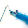 Happy pet tabby patch chat tige oiseau bleu