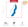 Happy pet tabby patch chat tige oiseau bleu