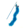 Happy pet tabby patch chat tige oiseau bleu