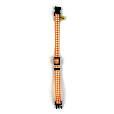 Happy pet tabby patch collier chat diamant orange