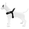 Morso mini harnais pour chien réglable recyclé noir