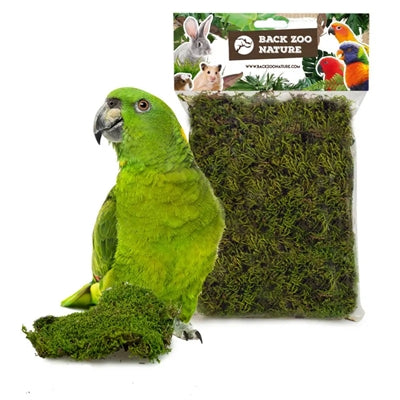 Retour zoo nature forêt mousse