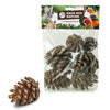 Retour pommes de pin nature zoo