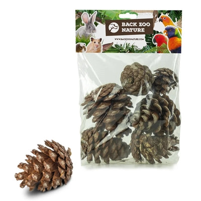 Retour pommes de pin nature zoo