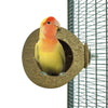 Retour zoo nature cocotier maison
