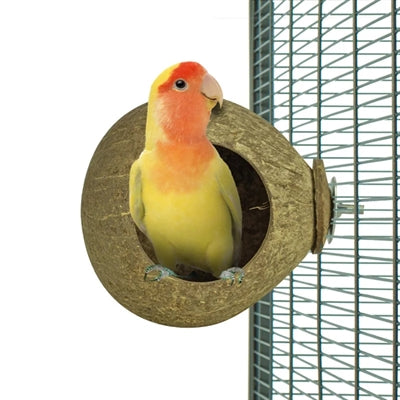Retour zoo nature cocotier maison
