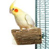 Retour zoo nature tranche de bois perche