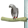 Retour zoo nature java perche