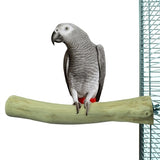 Retour zoo nature java perche - afbeelding 3