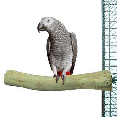 Retour zoo nature java perche