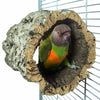 Retour Cabane tronc nature zoo