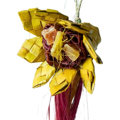 Retour zoo nature tournesol