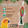 Retour zoo nature pinata melon
