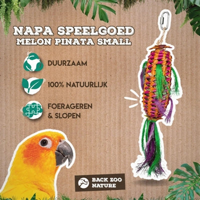 Retour zoo nature pinata melon