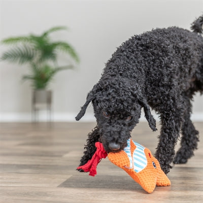 Étoile de mer Trixie avec corde en soie orange