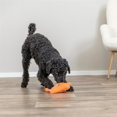 Étoile de mer Trixie avec corde en soie orange