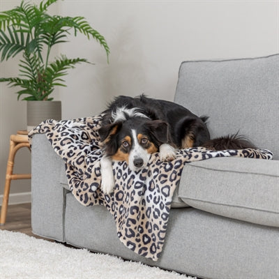 Trixie couverture pour chien Leo peluche douce imprimé léopard crème