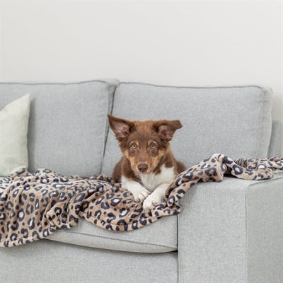 Trixie couverture pour chien leo peluche douce imprimé léopard marron