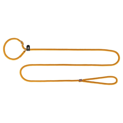 Sommet de la ligne Trixie Retriever autour du curry de corde