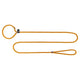 Sommet de la ligne Trixie Retriever autour du curry de corde
