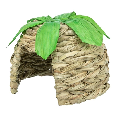 Herbe de maison Trixie avec feuilles de maïs