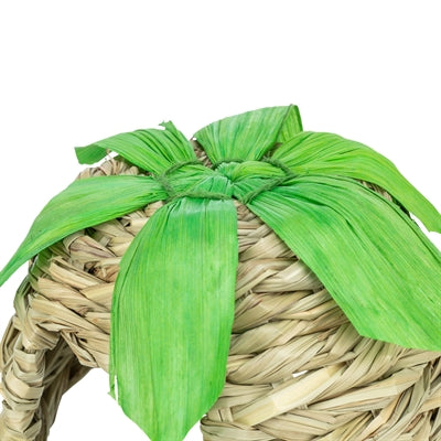 Herbe de maison Trixie avec feuilles de maïs