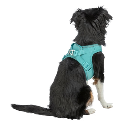 Harnais pour chien Trixie Urban Vest en maille aqua