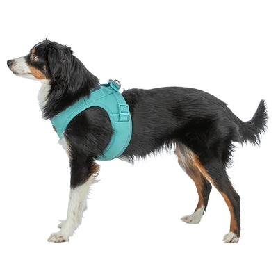 Harnais pour chien Trixie Urban Vest en maille aqua