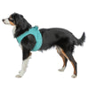 Harnais pour chien Trixie Urban Vest en maille aqua