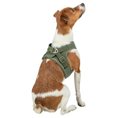 Trixie harnais pour chien gilet urbain maille vert olive