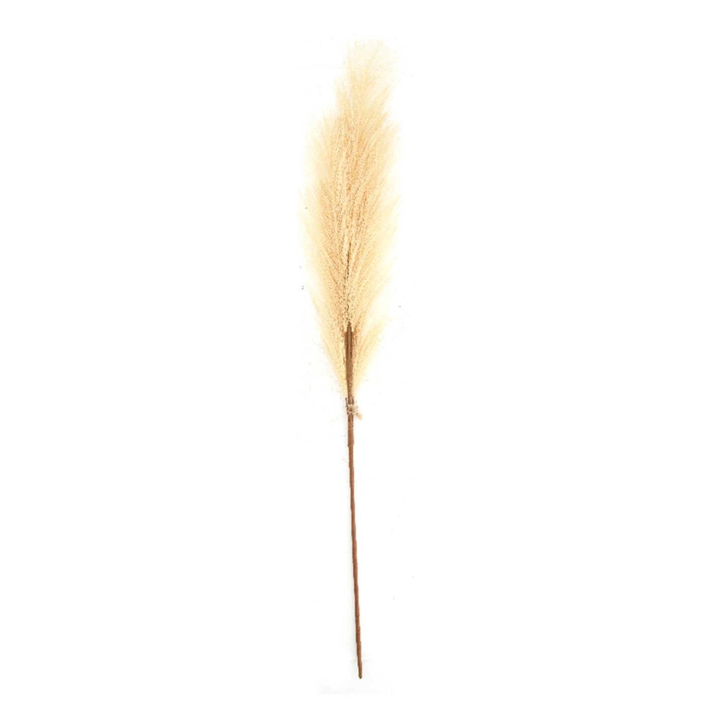 Dijk natural collections fleur artificielle plume 77x8x3cm beige