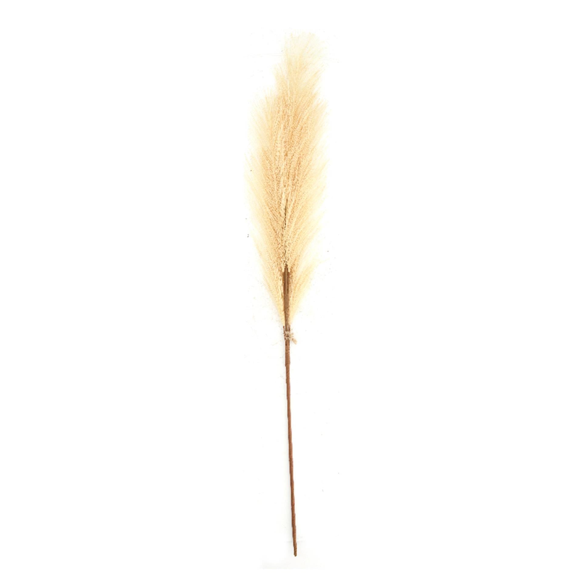 Dijk natural collections fleur artificielle plume 77x8x3cm beige