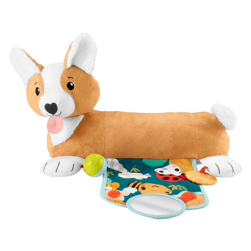 Fisher Price 3in1 Puppy Belly Ligtress