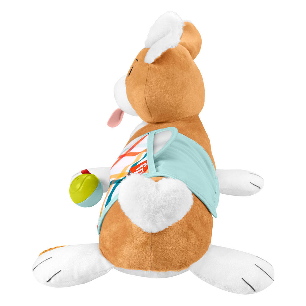 Fisher Price 3in1 Puppy Belly Ligtress
