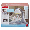 Fisher Price Regenboog Muziekmobiel pour le berceau ou le lit bébé