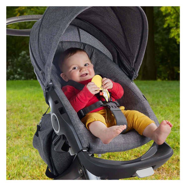 Fisher price morsure hochet lapin