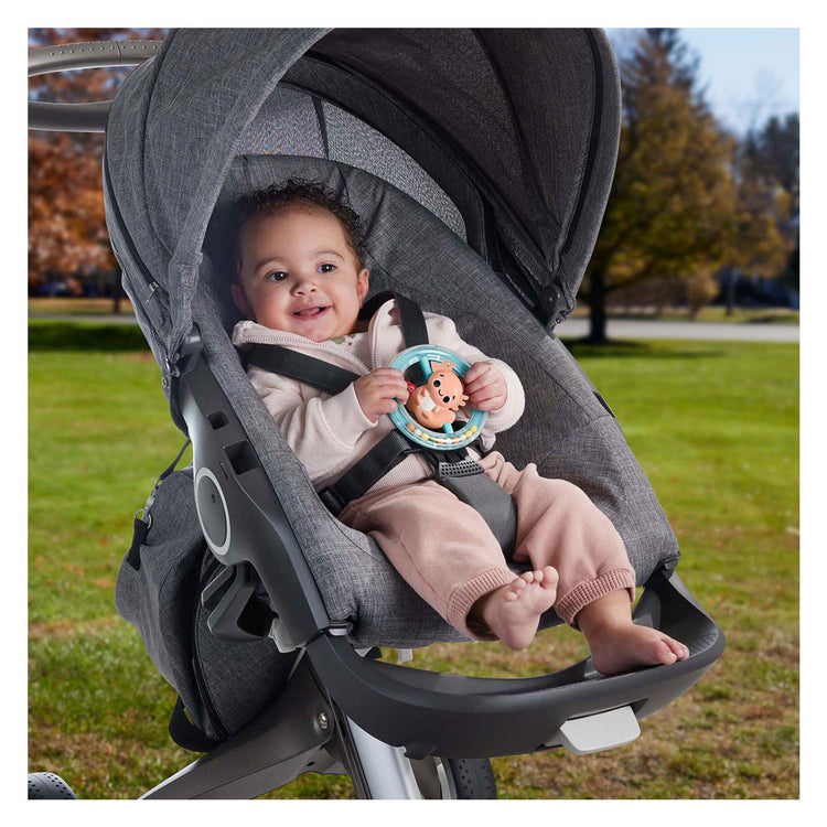 Fisher price morsure hochet axeloth